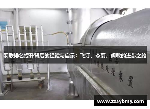 羽联排名提升背后的经验与启示：飞汀、杰蔚、阀敏的进步之路