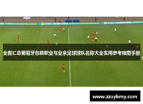 全面汇总葡萄牙各级职业与业余足球球队名称大全实用参考指南手册