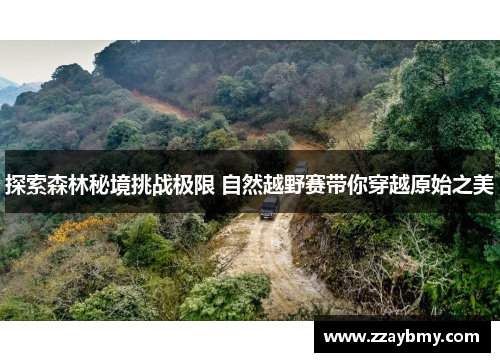 探索森林秘境挑战极限 自然越野赛带你穿越原始之美