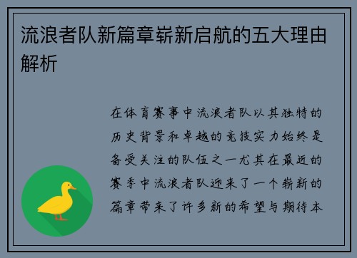 流浪者队新篇章崭新启航的五大理由解析 流浪者队新篇章崭新启航的五大理由解析